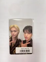 Stray Kids(ストレイキッズ・スキズ・SKZ) force ユニットトレカ (댕냥)