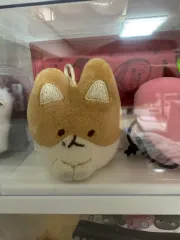 2026年最新】ベッキョン トレギ トレカの人気アイテム - メルカリ