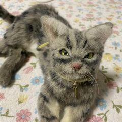 Item thumbnail for item 722ce041-99a4-4f94-a65c-ee557f063b49