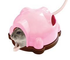 Item thumbnail for item 8c71d738-92f7-46e9-aa2d-a5af08827b87