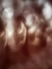 ナイキ セットアップ