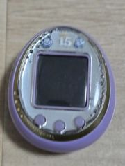 Item thumbnail for item 80644b28-41ab-498f-a946-eb6f6e05d260