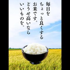 令和7年産米いのちの壱☆酵素散布米 玄米 いのちの壱 10キロ 精米無料