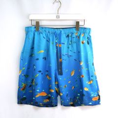 新品未使用】LOEWE アクアリウムプリントスイムショーツ シルク素材