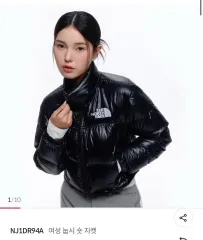 THE NORTH FACE ザノースフェイス ヌプシ ショートダウン s