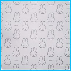 Item thumbnail for item 323e7a4a-ddb5-46a4-a978-97e5ab8a7f3d