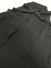 Item thumbnail for item 0379c074-b372-4f7c-8697-27257263b720