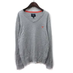 アメリカンイーグル AMERICAN EAGLE ニット カットソー 長袖 Vネック 刺繍 L グレー /YI