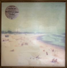 ミッシェルガンエレファント「is this high time ?」 レコード - メルカリ