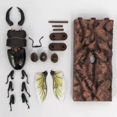 【中古】トレーディングフィギュア オオクワガタ＋樹皮台座(中) 「いきもの大図鑑アドバンス クワガタ02 樹皮台座(中)セット」 ガシャポンオンライン限定