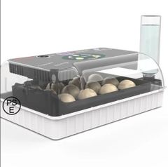 Item thumbnail for item 32970d8d-35df-4076-96f3-eafe7fd5c623