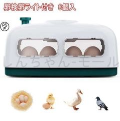 Item thumbnail for item 506552c4-1100-435f-9aed-1098ca43e27f