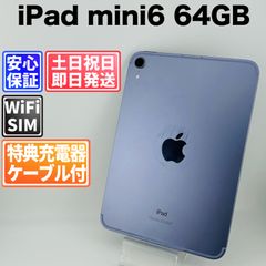 バッテリー良好 iPad 第9世代 64GB シルバー Cellularモデル 中古 本体