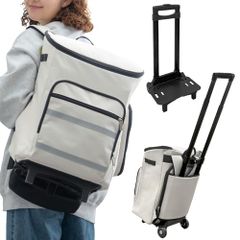 Item thumbnail for item ea26f040-9168-47c1-9238-cafa0bdb4b61