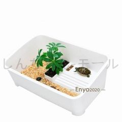 Item thumbnail for item d7078741-ae84-475c-834b-d6b86006cfa5