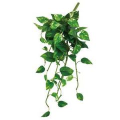 Item thumbnail for item 5cb92adb-a11e-4305-9cbe-4d6a2601dada