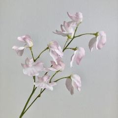 Item thumbnail for item 4d5d7173-1ebe-4ec9-8d23-ca671730523a