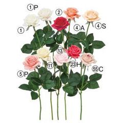 Item thumbnail for item 01644c7b-f594-4964-97fc-a8079f49858e