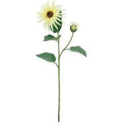 Item thumbnail for item 5c71d91d-e1a2-4296-92f3-adb5836147f3