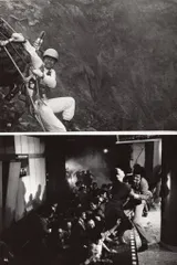 東宝 東宝スタジオメール NO.1980-6 地震列島