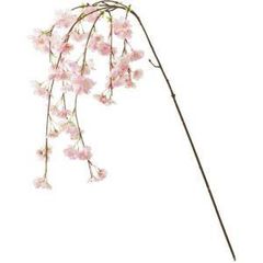 Item thumbnail for item 11ca1878-53fe-462a-afdb-a17d3c881e44