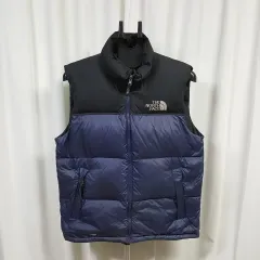 THE NORTH FACE ザノースフェイス メンズ グース ダウンベスト 100 オススメ