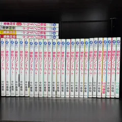 純情ロマンス全巻セット+α 純情ロマンス全巻セット+α 全巻セット】純情ロマンチカ 1〜30巻 特装