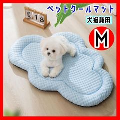 Item thumbnail for item a7efe9e7-4408-48bf-9c5a-910a7eb950d3