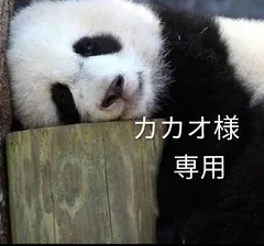 223  干し柿　カカオ様　専用