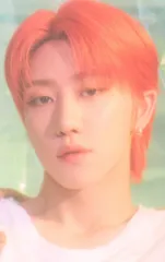 SEVENTEEN HYBE INSIGHT THE8 The Daydream:BELIEVERS 入場特典