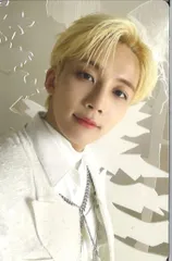 SEVENTEEN あいのちから JEONGHAN トレーディングカード