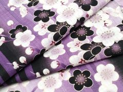 Item thumbnail for item 8c888d5b-bf0b-4d3d-9fca-23c204587f5e