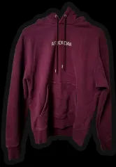 ナイキ エアジョーダン フードTシャツ L バーガンディ