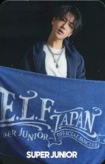 モーニング娘。 L版生写真 中古】生写真(ハロプロ) モーニング娘。'24/野中美希/全身・印刷