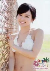 2026年最新】akb48 海外旅行日記~ハワイはハワイ~ 山本 彩の人気