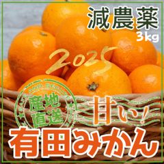 価格高騰！農家直送！紀州南高梅 樽 10kg 無添加 和歌山 紀州 白梅 価格高騰！農家直送！紀州南高梅 樽 10000g 無添加 和歌山 紀州 白梅の