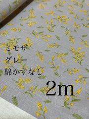 Item thumbnail for item aef9288c-e3aa-4d68-8185-32ab95429869