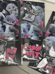 Xdinary Heroes(エクディズ) ビューマコンサート ソウル 入場キット + ヴィランズ 販売 フラッグキーホルダー