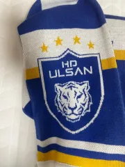 2025年最新】蔚山現代の人気アイテム - メルカリ