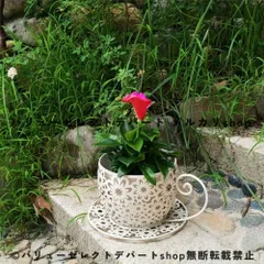 フラワーポット 植木鉢 鉢植え プランター 鍛鉄製 コーヒーカップ 軽量 円形 メタルプランター ハンドル付き ガーデニング 雑貨 ガーデン雑貨 ガーデンインテリア ガーデン インテリア 庭の装飾 お洒落 おしゃれ 贈り物 飾り デコレーション 中庭