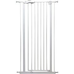 Item thumbnail for item 1a5723ed-a593-412f-942f-e5b92b8c09a7