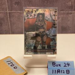 Item thumbnail for item 574c2f60-b6d8-4cad-91df-0c506e6090fa