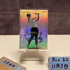 Item thumbnail for item e911e017-e0c3-4c51-b1e9-b0b261d6ef33