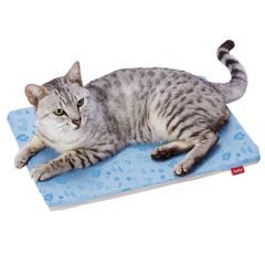 Item thumbnail for item 6436956e-a5d7-4b0d-bcbf-c81c3fbe1444