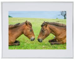 Item thumbnail for item 19488327-4b15-4ecd-b230-c5fc3eaaa233