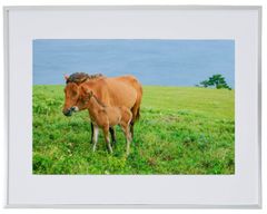 Item thumbnail for item b11f3319-4295-4a15-89b7-b8603ac03908