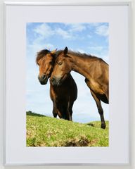 Item thumbnail for item ec975502-d550-47fb-bc05-864fae54104f