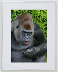 Item thumbnail for item a99f2953-e39f-480a-a45a-0c6385697fab