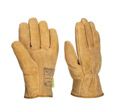 Item thumbnail for item ed476140-3f9d-4334-b0e7-cb8c443ff915