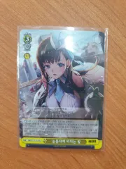 マリアン ニケ キャラクター カード